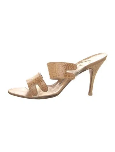 Pre-owned Manolo Blahnik Leather Animal Print Slides In Neutral