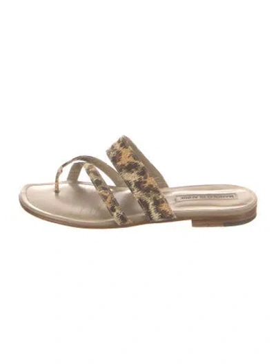 Pre-owned Manolo Blahnik Leather Animal Print Slides In Neutral