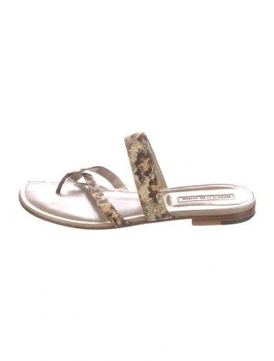 Pre-owned Manolo Blahnik Leather Animal Print Slides In Neutral
