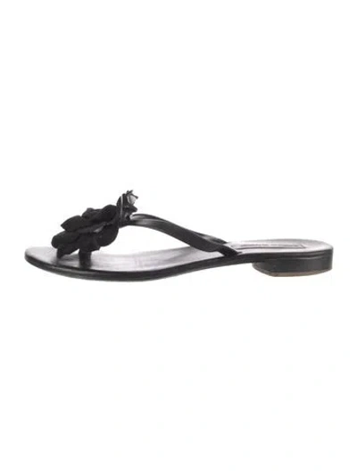 Pre-owned Manolo Blahnik Leather Flats In Black