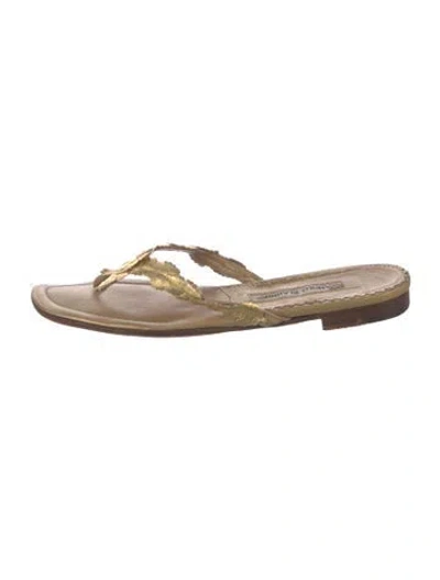 Pre-owned Manolo Blahnik Leather Flip Flops In Gold