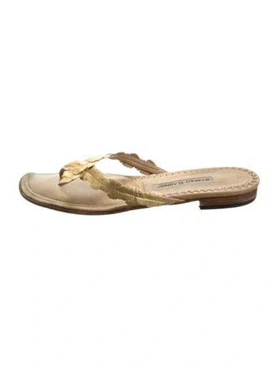 Pre-owned Manolo Blahnik Leather Flip Flops In Gold