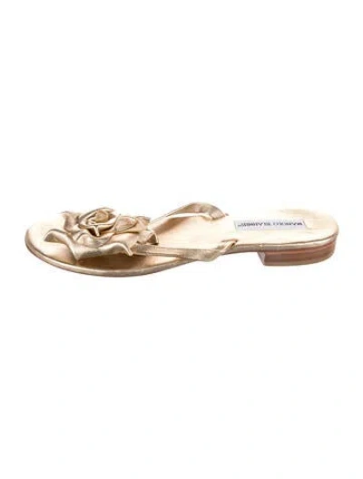 Pre-owned Manolo Blahnik Leather Flip Flops In Gold