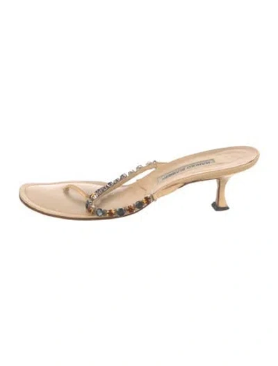 Pre-owned Manolo Blahnik Leather Flip Flops In Neutrals
