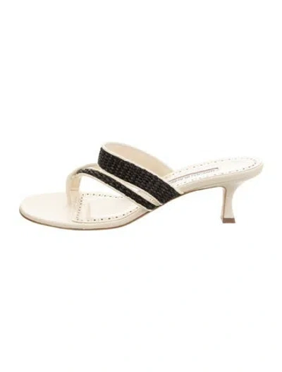 Pre-owned Manolo Blahnik Leather Flip Flops In Yellow