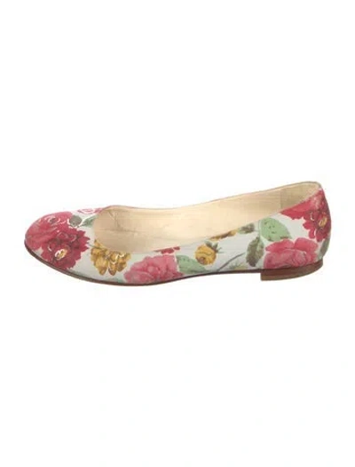 Pre-owned Manolo Blahnik Leather Floral Print Ballet Flats In White