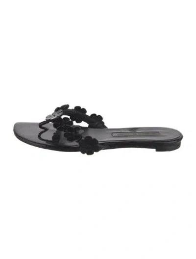 Pre-owned Manolo Blahnik Leather Floral Print Flip Flops In Black
