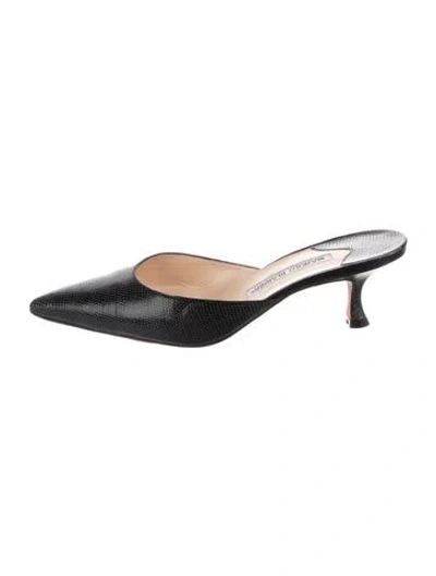 Pre-owned Manolo Blahnik Leather Mules In Black