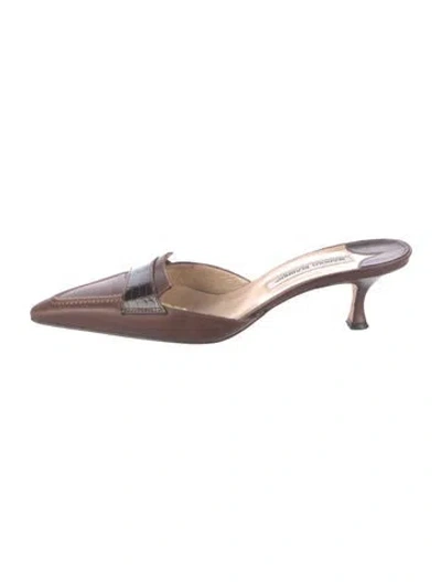 Pre-owned Manolo Blahnik Leather Mules In Brown
