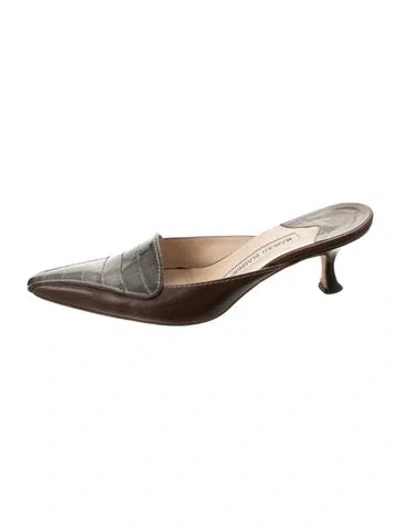 Pre-owned Manolo Blahnik Leather Mules In Brown