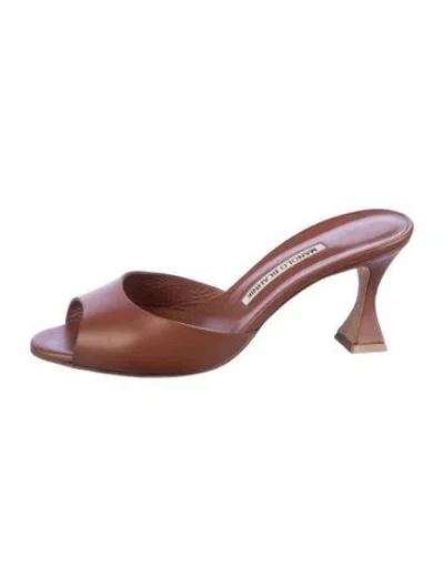 Pre-owned Manolo Blahnik Leather Mules In Brown