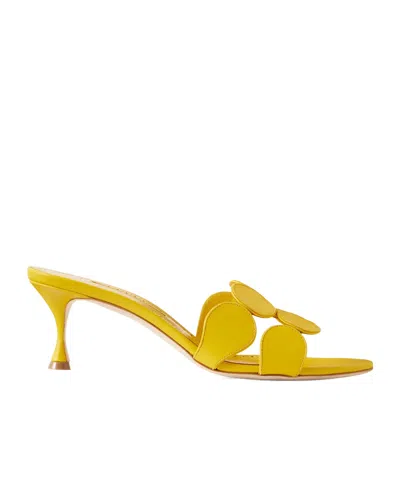 Manolo Blahnik Haribalmu 50 Leather Mules In Yellow
