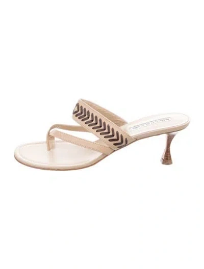 Pre-owned Manolo Blahnik Leather Patterned Sandals In Neutrals