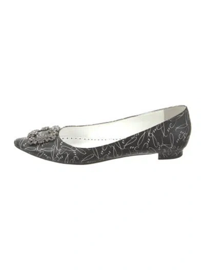 Pre-owned Manolo Blahnik Leather Printed Ballet Flats In Black
