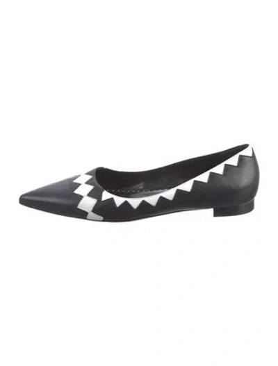 Pre-owned Manolo Blahnik Leather Printed Ballet Flats In Black