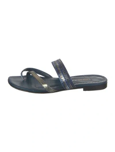 Pre-owned Manolo Blahnik Leather Printed Slides In Blue