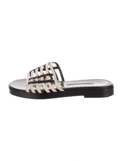 Pre-owned Manolo Blahnik Leather Slides In Black