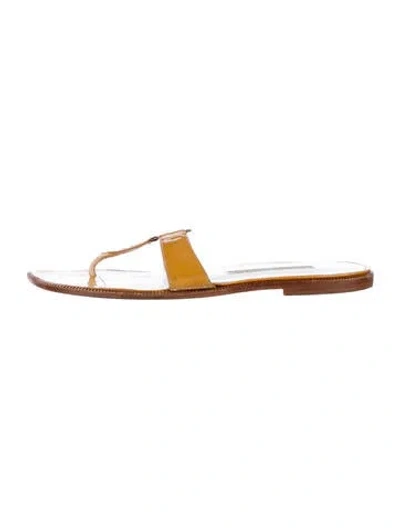 Pre-owned Manolo Blahnik Leather Slides In Brown