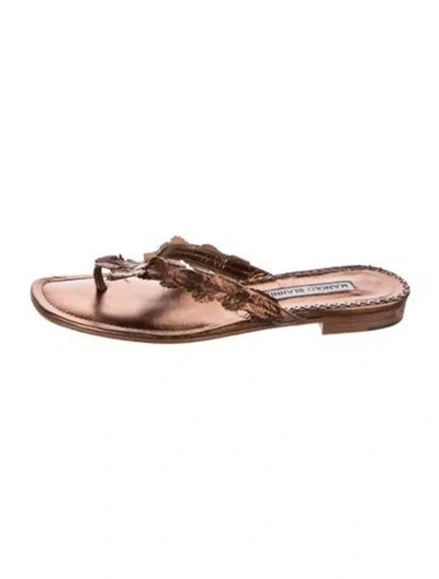 Pre-owned Manolo Blahnik Leather Slides In Brown
