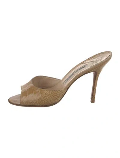 Pre-owned Manolo Blahnik Leather Slides In Neutral