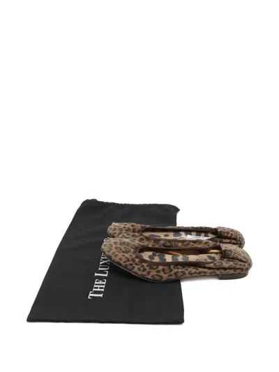 Pre-owned Manolo Blahnik Leopard-print Ballet Flats In Brown