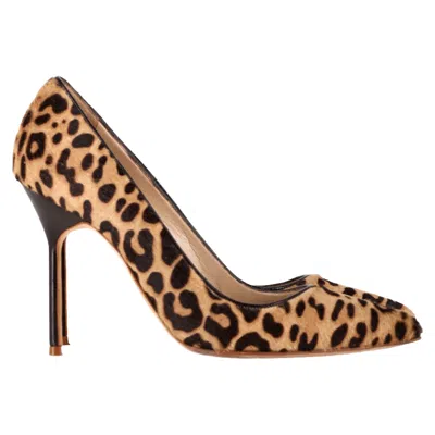 Manolo Blahnik Leopard Print Pumps In Brown Pony Hair