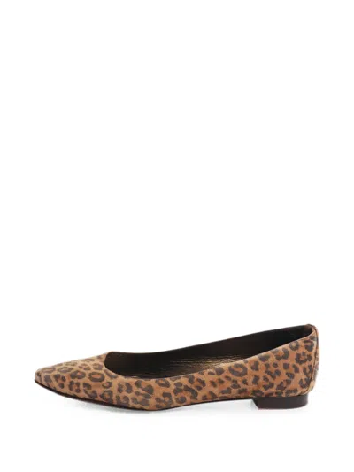 Pre-owned Manolo Blahnik Leopard-print Pumps In Neutral