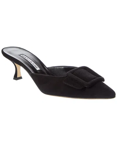 Manolo Blahnik Maysale 50 Suede Mule In Black