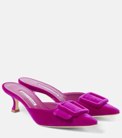 Manolo Blahnik Maysale 50 Velvet Mules In Purple