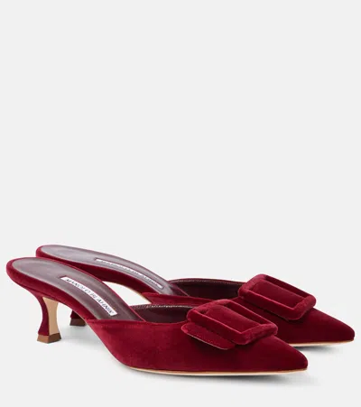 Manolo Blahnik Maysale 50mm Suede Mules In Rot