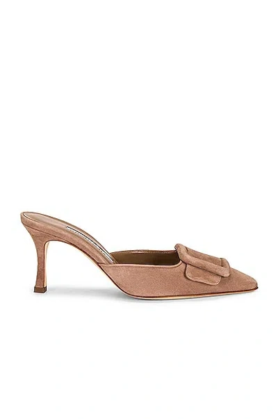 Manolo Blahnik 50mm Maysale Suede Mules In Nude
