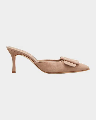 Manolo Blahnik Maysale Suede Buckle Mid-heel 70mm Mules In Brown