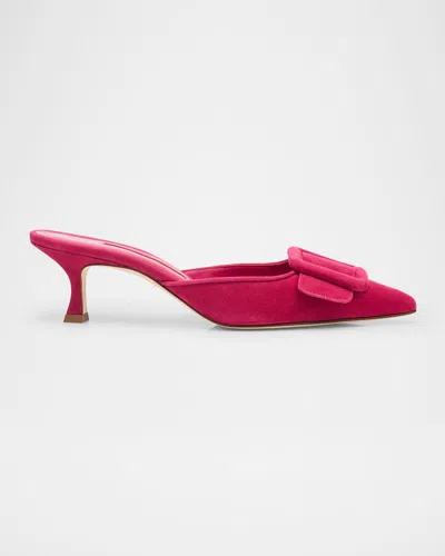 Manolo Blahnik Maysale Suede Buckle Mules