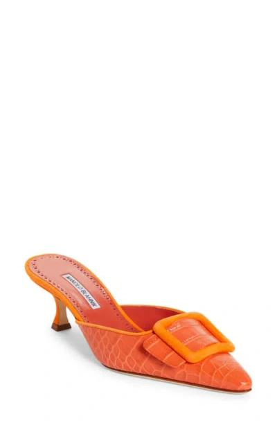 Manolo Blahnik Maysalebi Kitten Heel Mule In Bora Bora