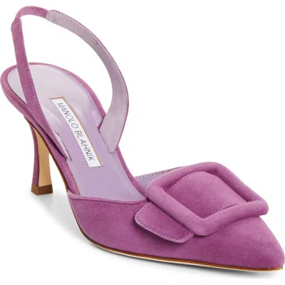 Manolo Blahnik Maysli Buckle Slingback Pump In Purple