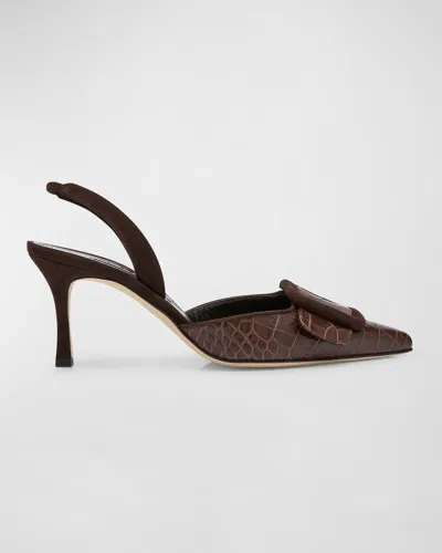 Manolo Blahnik Maysli Croco Buckle Slingback Pumps In Brown