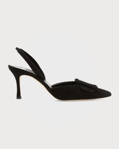 Manolo Blahnik Maysli Suede Buckle Halter Pumps In Black
