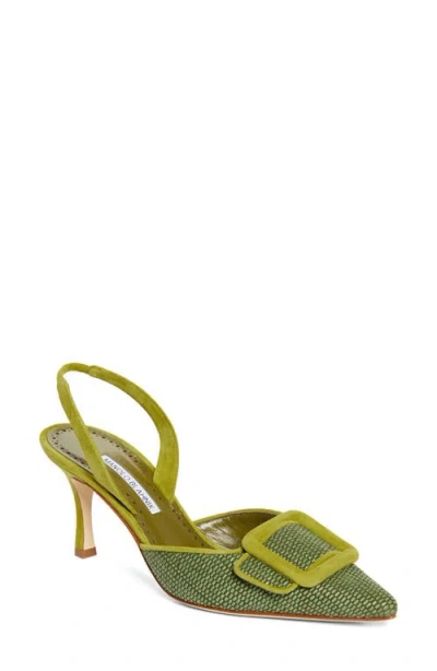 Manolo Blahnik Mayslibi Buckle Slingback Pump In Green Multi