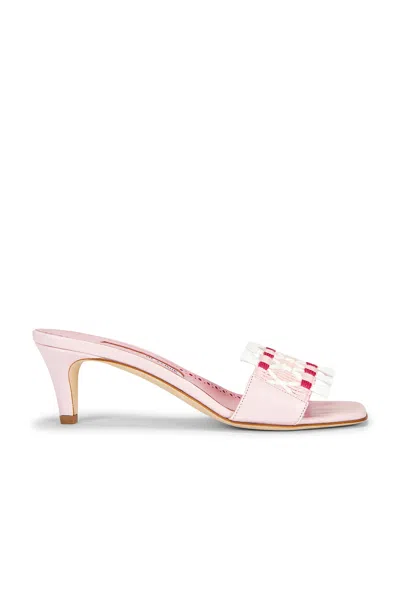 Manolo Blahnik Moremu 50 Sandal In Pink