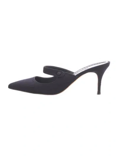 Pre-owned Manolo Blahnik Mules In Blue
