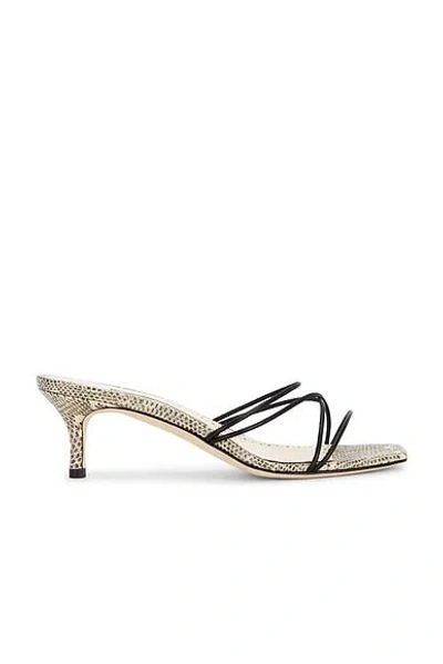 Manolo Blahnik Ninfemu 50 Sandal In Black