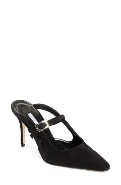Manolo Blahnik Okos Pointed Toe Pump