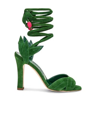 MANOLO BLAHNIK OSSIE STRAP-UP HEELS