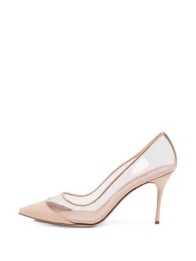 Pre-owned Manolo Blahnik Pachana Pointed-toe Pumps In Neutrals