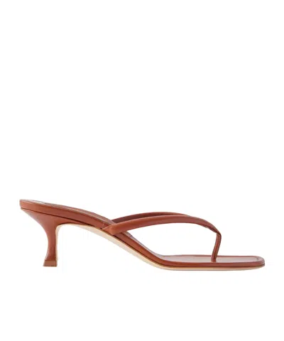 Manolo Blahnik Paterno 50 Leather Thong Sandals In Multi