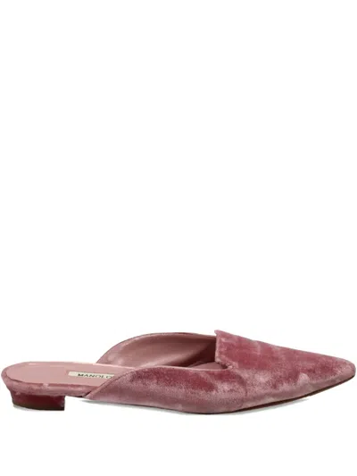 Pre-owned Manolo Blahnik Pointed-toe Velvet Mules In Pink