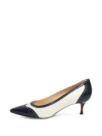 Pre-owned Manolo Blahnik Pointed-toe Leather Pumps In Blue
