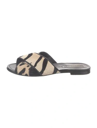 Pre-owned Manolo Blahnik Ponyhair Animal Print Slides In Black