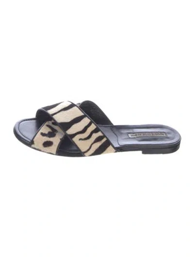 Pre-owned Manolo Blahnik Ponyhair Animal Print Slides In Blue