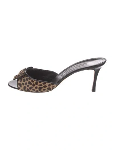 Pre-owned Manolo Blahnik Ponyhair Animal Print Slides In Brown